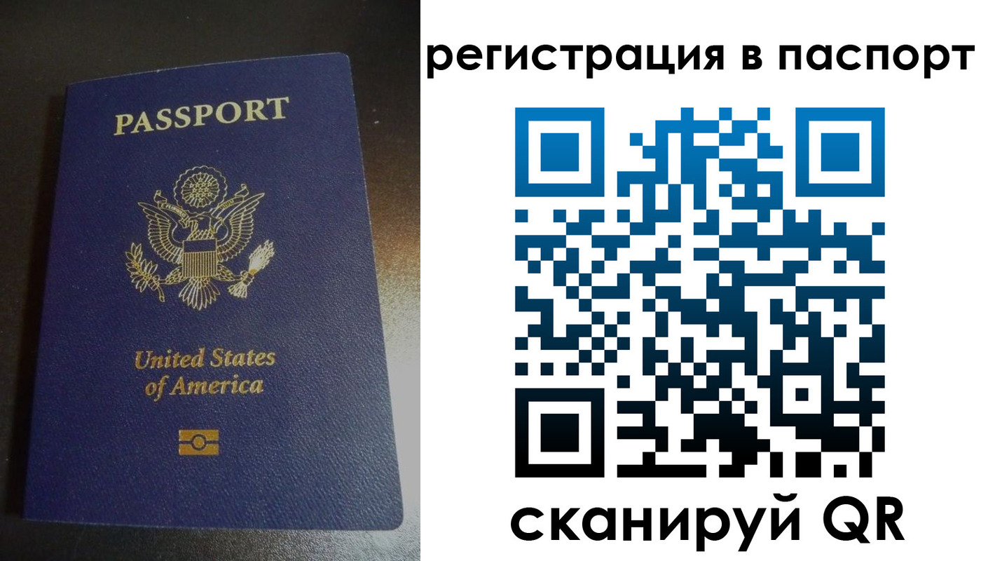 прописка для школы в Тайге